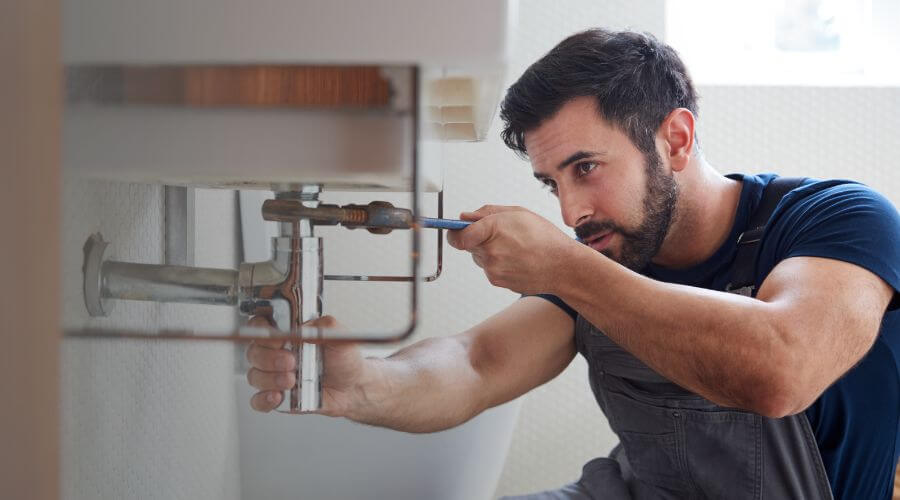 Trap Repair/Replacement in Walkerville, MI